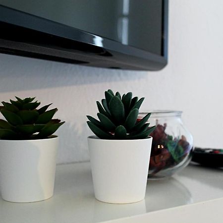 Apartament Oasis - Pedras D' El Rei T0 Santa Luzia  Zewnętrze zdjęcie